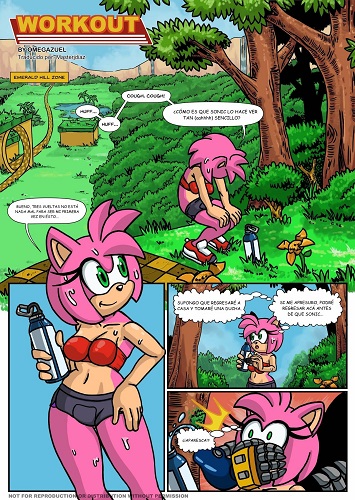 Workout (Sonic The Hedgehog)